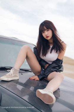 复仇者动画片全集